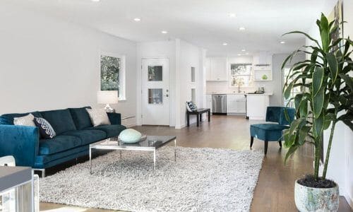 Modern Indoor Decor with Tall Indoor Plant
