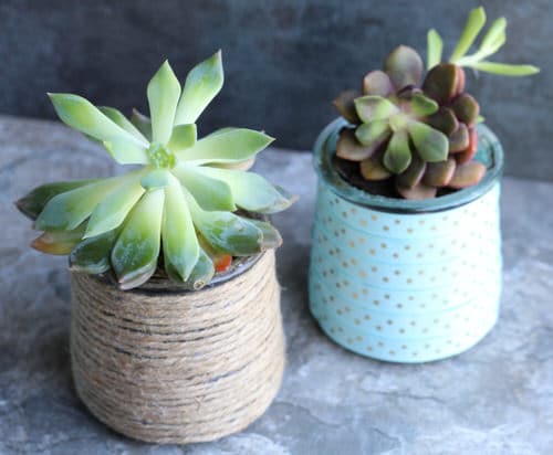Yogurt Jars into Succulent Planters