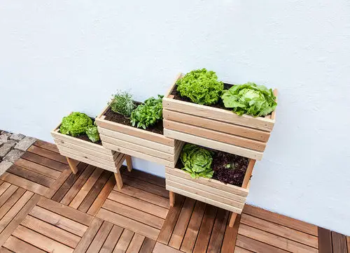 Raised Bed Ideas for Balcony Gardeners