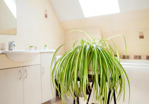 Wooden Stand in Kitchen