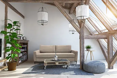Attic Rooms with Plants Pictures