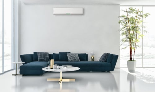 Indoor Plant Ideas for Large Rooms