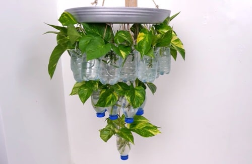Popular Garden DIYs on YouTube