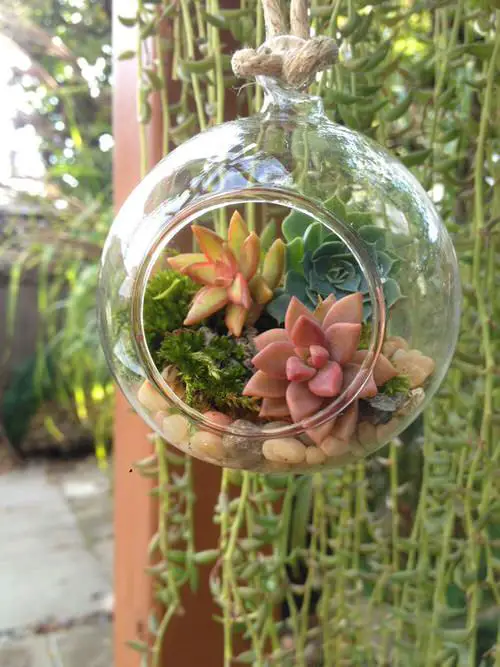 Hanging Garden Ideas