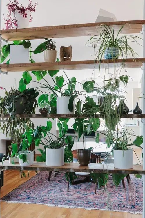 Outstanding Simple Plant Wall Room Divider Ideas