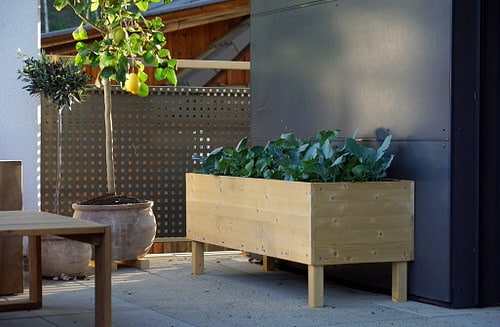 Raised Bed Ideas for Balcony Gardeners