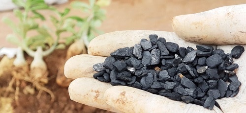 Plant Parenting Hacks You Should Know