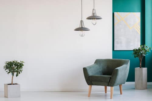 Small Empty White Living Room with Plants
