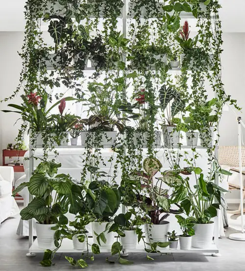 IKEA Plant Shelf