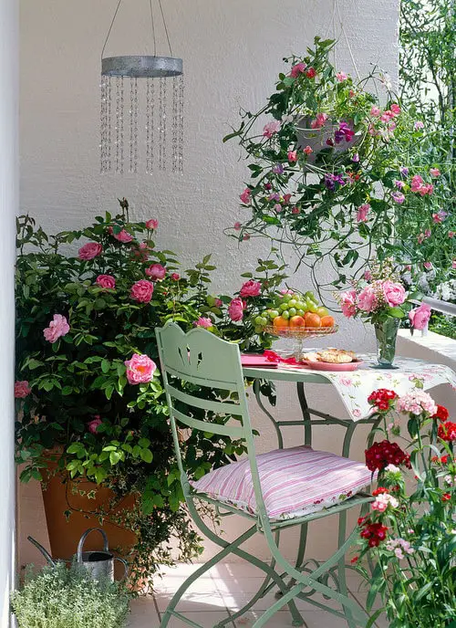 Urban Rose Garden