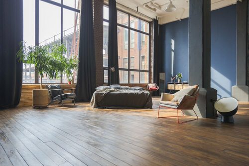 Indoor Plant Ideas for Large Rooms