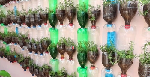 Popular Garden DIYs on YouTube
