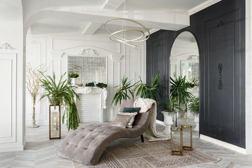 Relaxing Chair with Plants in a Big Room