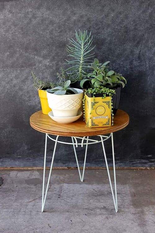Trailing succulent in a Yellow Tea Tin Can