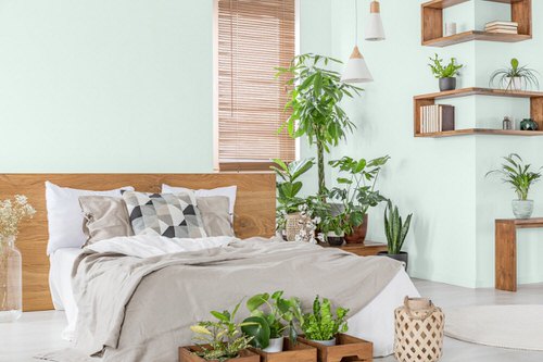 Indoor Plant Bedroom Pictures 