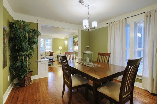 Pictures of House Plants in the Dining Room 8