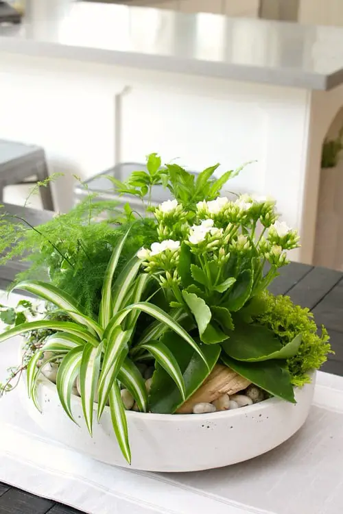 Really Cute Tabletop Garden Tropical Planter Centerpiece