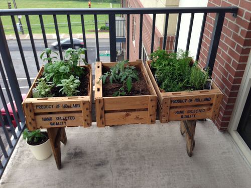 Balcony Gardeners