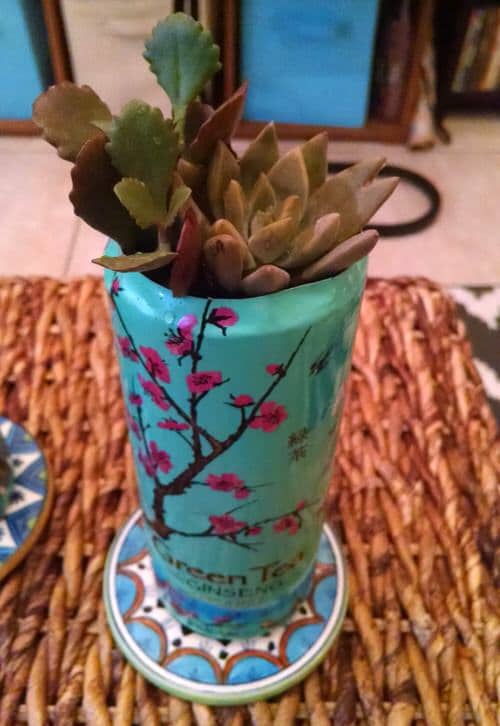 Old Tea Tins Turned Into Planter