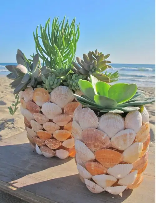 Seashell Planter