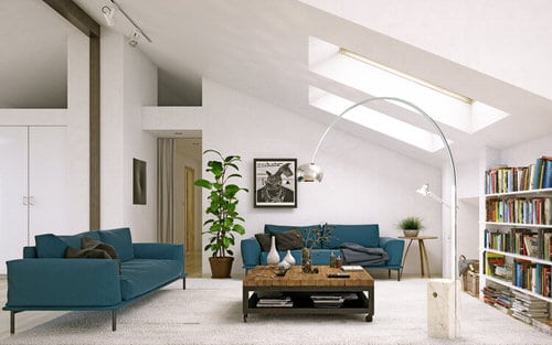Attic Rooms with Plants Pictures