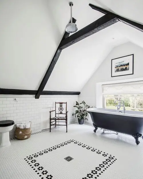 Rooms with Plants Pictures
