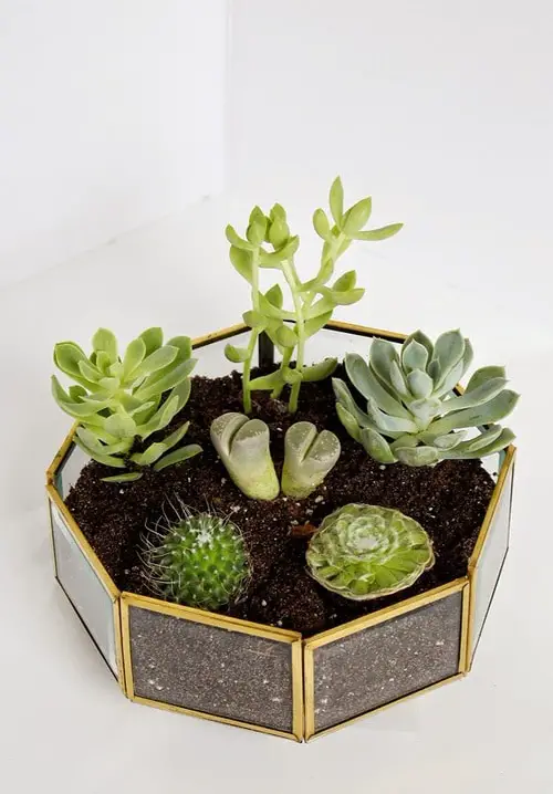Thrifted Brass planter