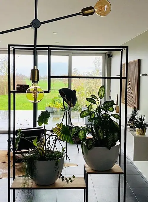 Metal Frame with Light Bulbs