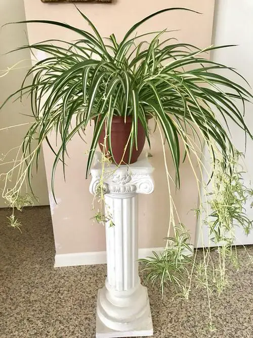 Classy Vintage White Stand