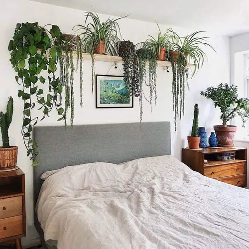 Bed with Trailing Plants