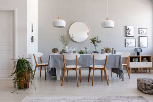 Pictures of House Plants in the Dining Room 9