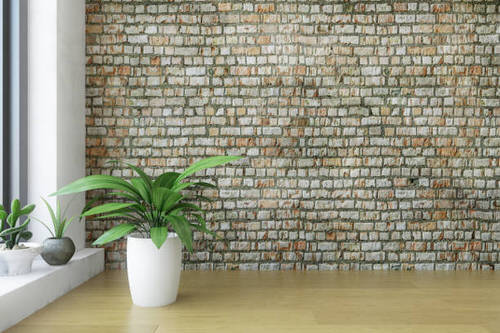 Stubby Planter in a Corner