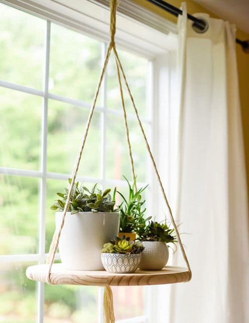 Succulent Hanging Garden Ideas 