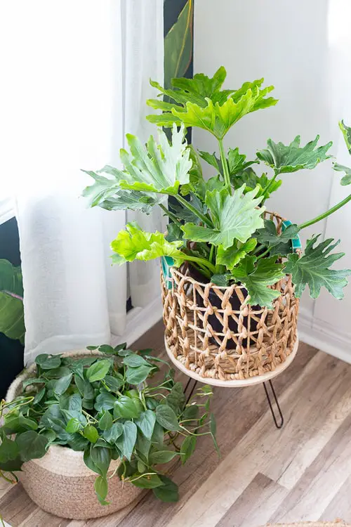 DIY Planter Hacks 9