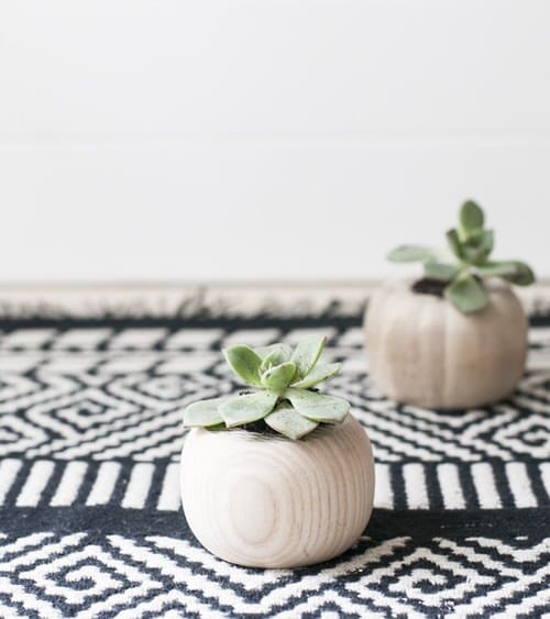 Wooden Succulent Planters