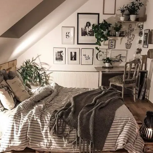 Rooms with Plants Pictures