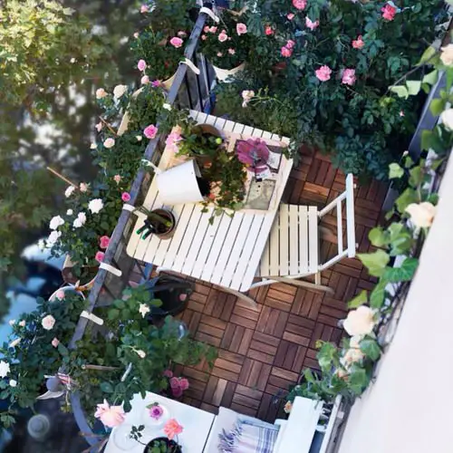 Roses with Minimalist Furniture