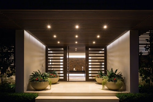 LED Lights and Plants in Large Pots