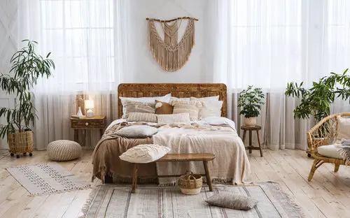 Plant Ideas for Large Rooms