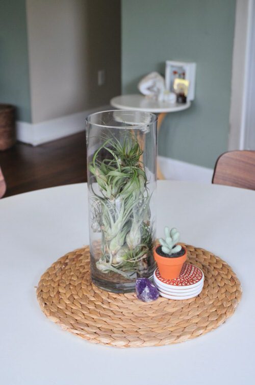 DIY Indoor Plant Display Ideas