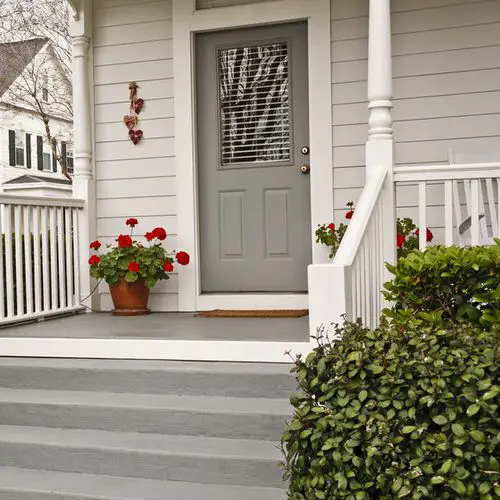 Entrance Decoration Ideas with Plants 