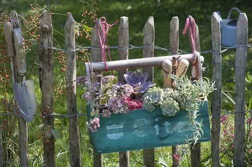 Succulent Hanging Garden 