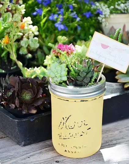 Mini Succulent Garden