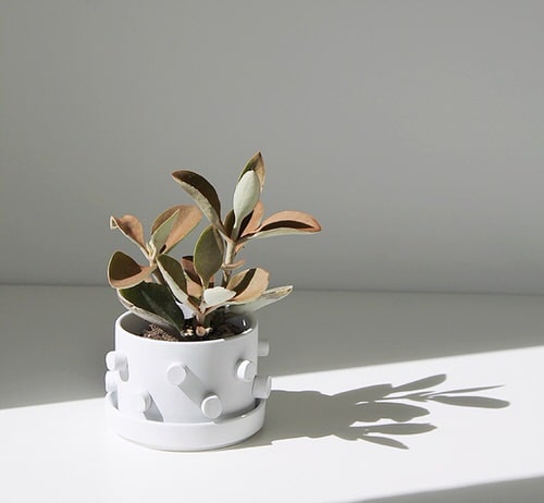 DIY Planter Hacks