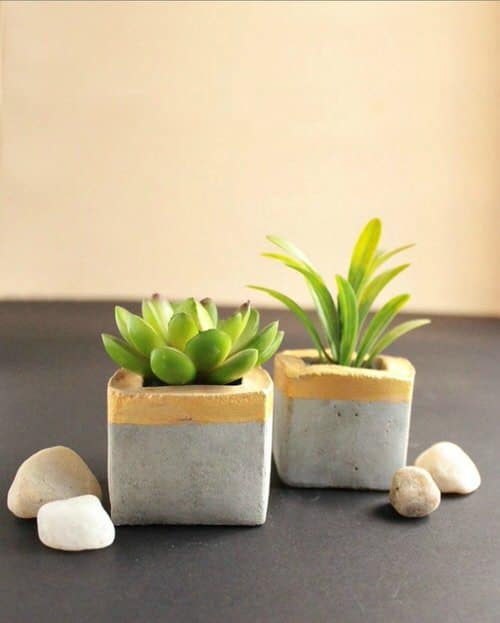 Concrete Planters
