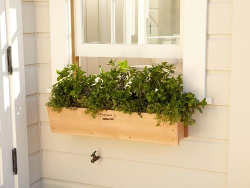 Creative Herb Garden in Window Box Ideas