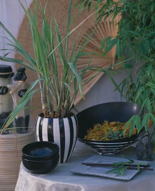 The Greatest Plants to Prevent Lizards in home 