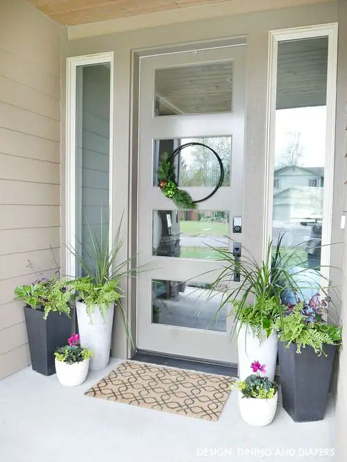 Decoration Ideas with Plants 