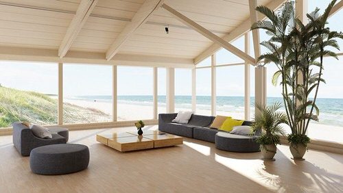 Plant Ideas for Large Rooms