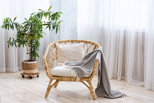Plant Ideas for Large Rooms